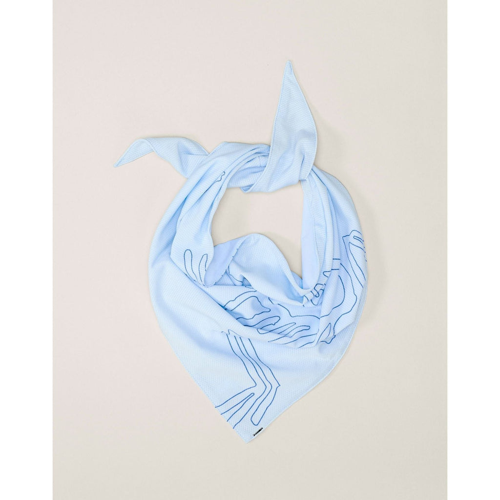Arc'teryx Sinsolo Bandana