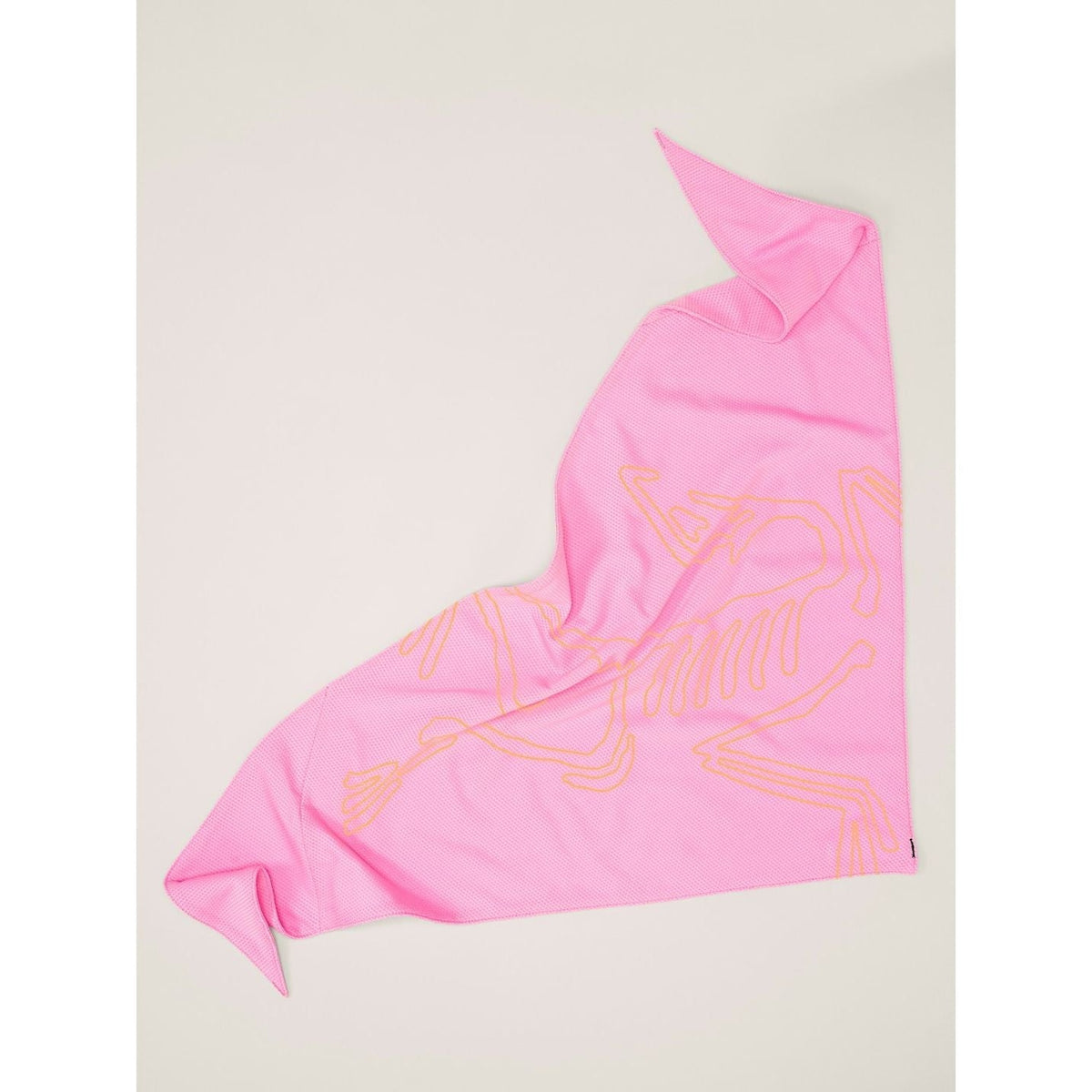 Arc'teryx Sinsolo Bandana